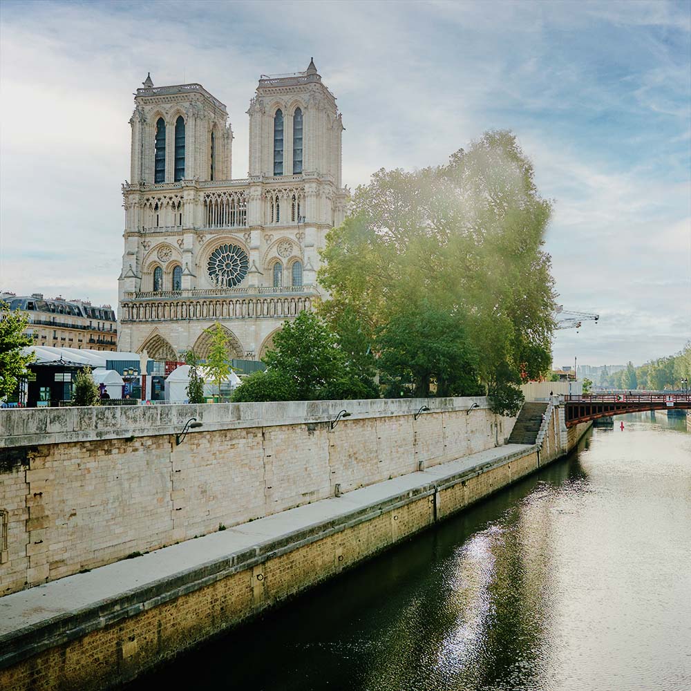 Qué ver en París Notre Dame tours español.