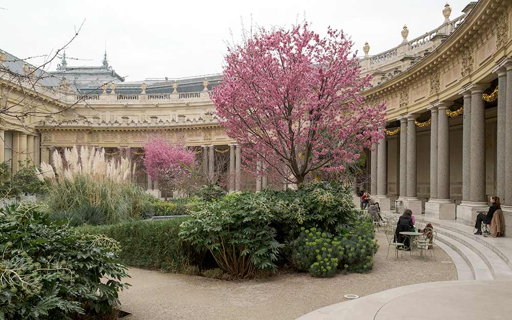 El jardín del Petit Palais es reconocido por ser un oasis dentro de París para tomarse un cafecito o almorzar luego de haber visto una de las más bellas colecciones de la ciudad.