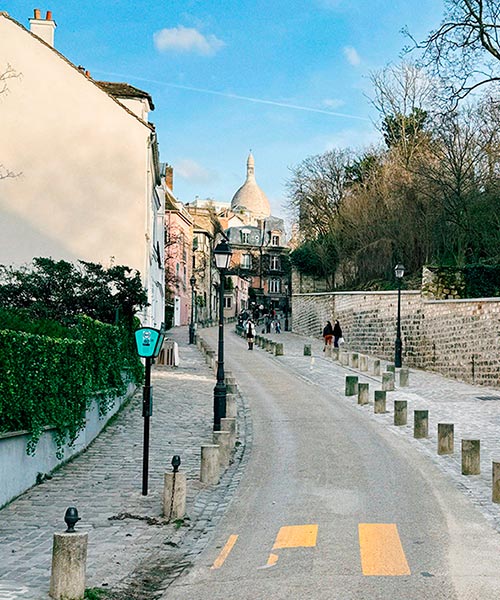Tour panorámico de Montmartre con chofer privado y en total confort